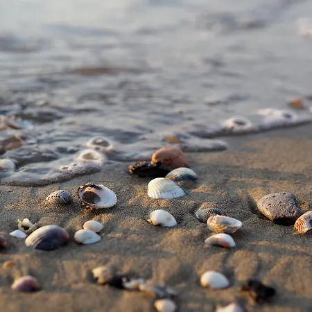 Sunny Escape - Beahost * Bibione